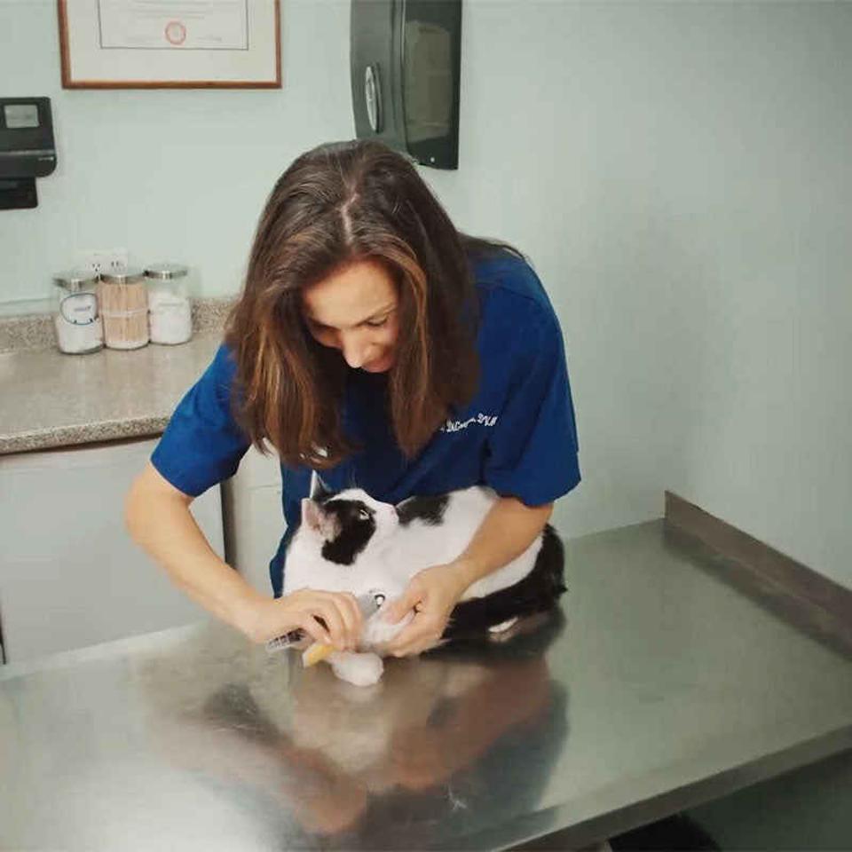 Top-notch Dog Nail Clipper Featuring Quick Sensors