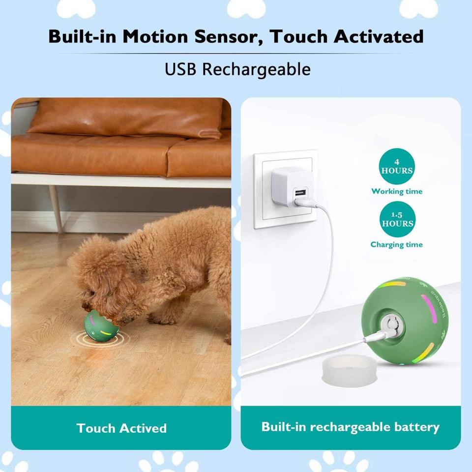 Interactive Dog Ball Toy: Engaging Playtime for Your Canine Companion