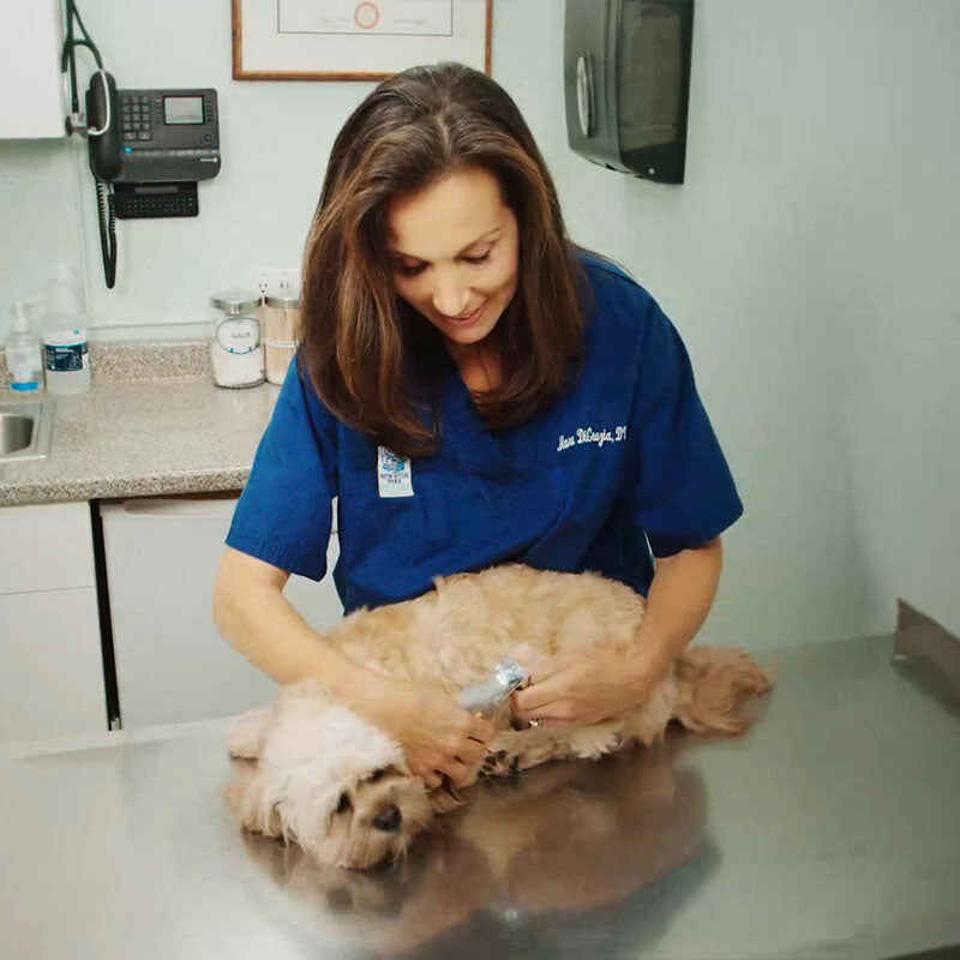 Top-notch Dog Nail Clipper Featuring Quick Sensors