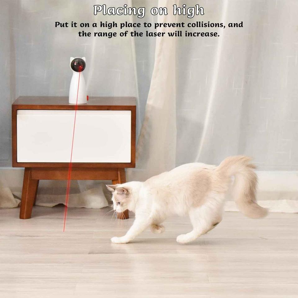 Laser Toy for Cats: Endless Fun for Your Feline Companion