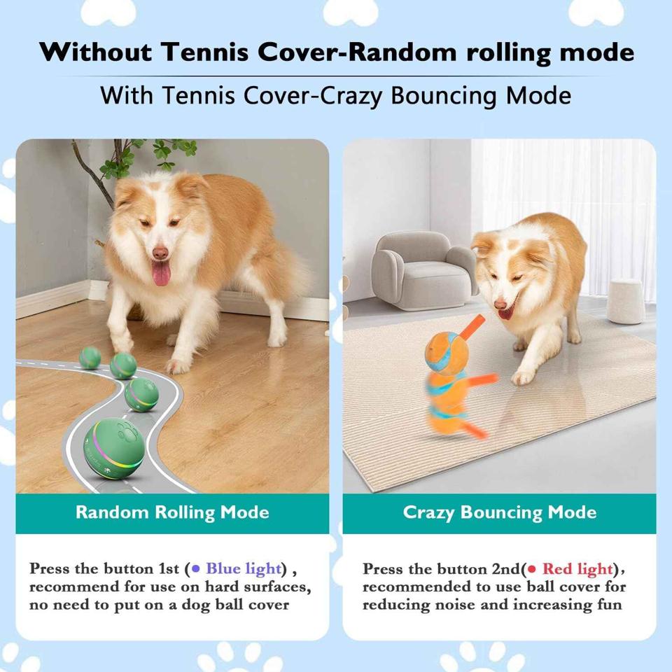 Interactive Dog Ball Toy: Engaging Playtime for Your Canine Companion