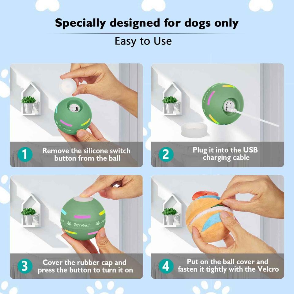 Interactive Dog Ball Toy: Engaging Playtime for Your Canine Companion