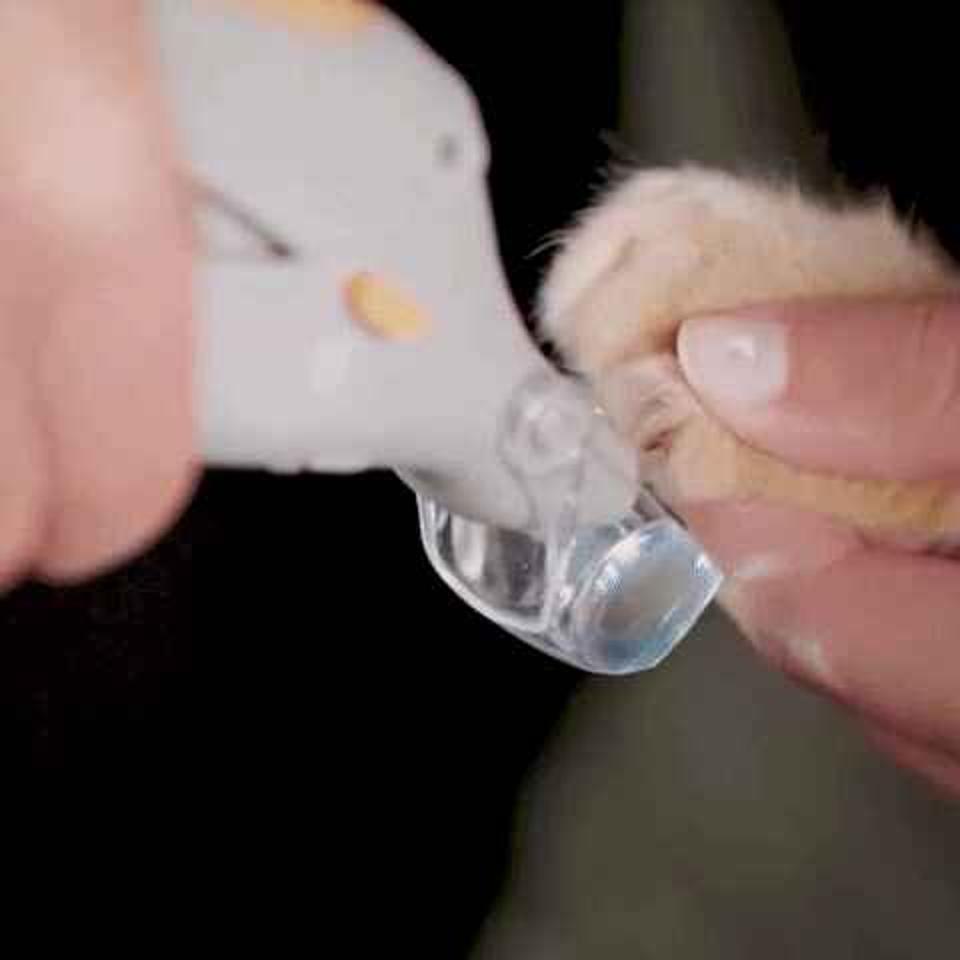 Top-notch Dog Nail Clipper Featuring Quick Sensors